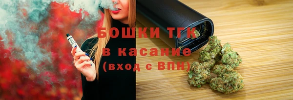 прущие грибы Краснослободск
