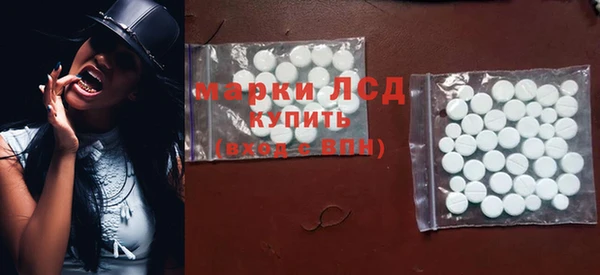 прущие грибы Краснослободск