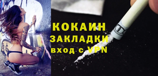 прущие грибы Краснослободск
