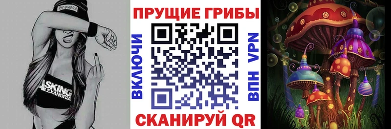 Псилоцибиновые грибы GOLDEN TEACHER Асино