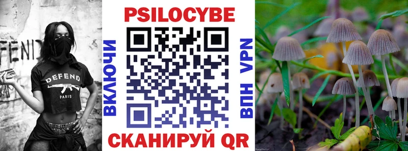 Купить закладки  Асино  Псилоцибиновые грибы мицелий 